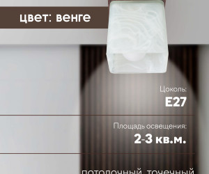 Потолочный светильник 6424-1SP WG 000036814