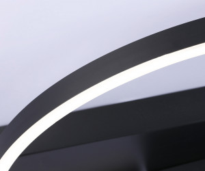 FL51460/1+1 BK черный 72W 3000K-6400K+4200K D600*110 (ПДУ РАДИО 2.4G)