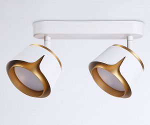 TN71229/2 WH/GD белый/золото GX53/2 220*100*147