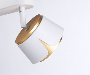 TN71229/2 WH/GD белый/золото GX53/2 220*100*147