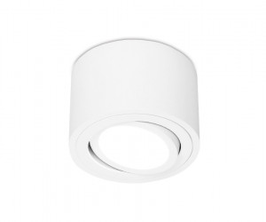 TN222 WH/S белый/песок GU5.3 D80*50