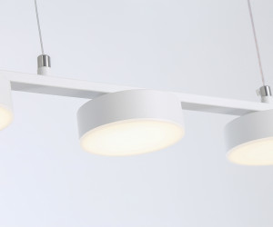 FL51733/5 WH белый 3000K/4200K/6400K 25W 800*100*1000 (Без ПДУ)