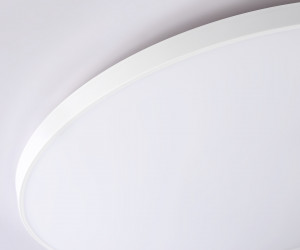 FZ1223 WH белый IP44 43W 4200K D455*60 (Без ПДУ)