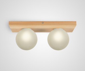 Потолочный светильник 6426N-2 NL 000067489