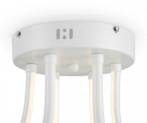 Потолочный светильник Freya FR6044CL-L114W