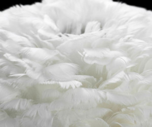 Подвесной светильник Lussole  Cuscino GRLSP-8360