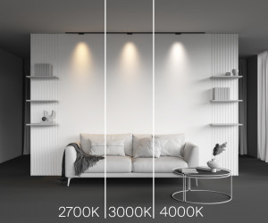 Трековый светильник Technical TR193-1-5W2.7K-M-B