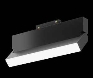 Трековый светильник Technical TR013-2-20W3K-B