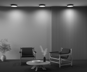 Потолочный светильник Technical C032CL-36W4K-RD-B