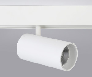 GL3838 WH белый IP20 20W 4200K 48V 24° D67*138