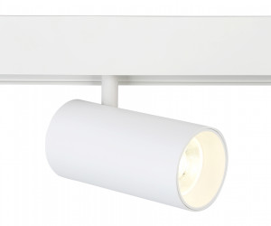 GL3838 WH белый IP20 20W 4200K 48V 24° D67*138