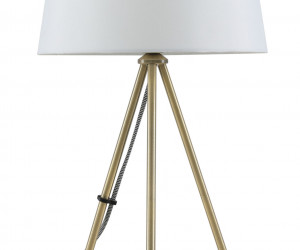 Настольный светильник Freya FR5118TL-01BS