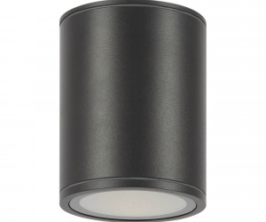 Потолочный светильник Outdoor O306CL-L12GF