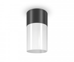 Потолочный светильник Outdoor O418CL-01B