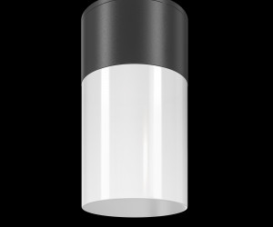 Потолочный светильник Outdoor O418CL-01B