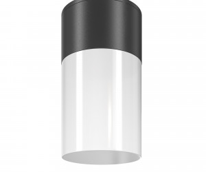 Потолочный светильник Outdoor O418CL-01B