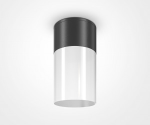 Потолочный светильник Outdoor O418CL-01B