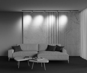 Трековый светильник Technical TR021-1-12W3K-W-BBS