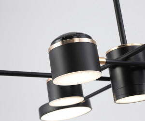 FL51629/9+4 BK/FGD черный/золото 132W 3000-6000K D850*370 (без ПДУ)