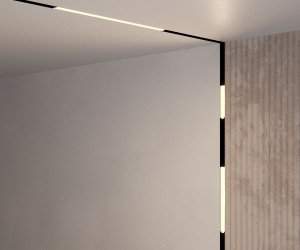 Трековый светильник Technical TR074-2-12W4K-B