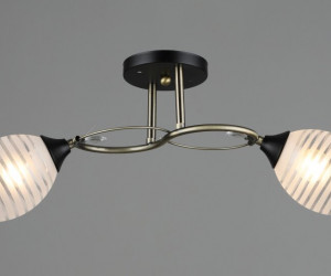 ВР-A3770/2 AB+BK (10) светильник потолочный [01099726]