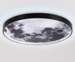 FW11114 BK черный 38W LED 3000-6400K D600*38