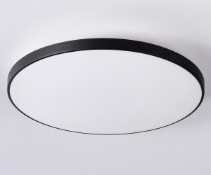 FZ1225 BK черный IP44 18W 4200K D302*50 (Без ПДУ)