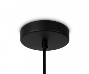 Подвесной светильник Maytoni MOD195PL-01W1