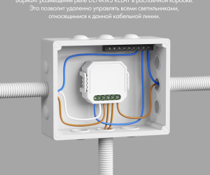 RL1004-DM/1 Двухканальное Wi-Fi реле-диммер 2 x 100 Вт