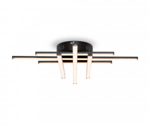 Потолочный светильник Freya FR6024CL-L42B