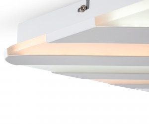 Потолочный светильник Freya FR6037CL-L84W