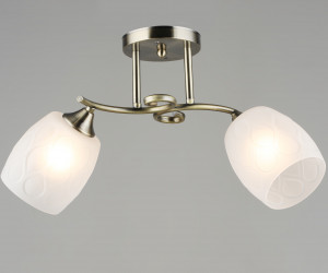 Потолочная люстра SL8438-2 AB 000066056