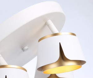 TN71241/4 WH/GD белый/золото GX53/4 D250*147