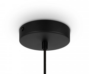 Подвесной светильник Maytoni MOD193PL-01W