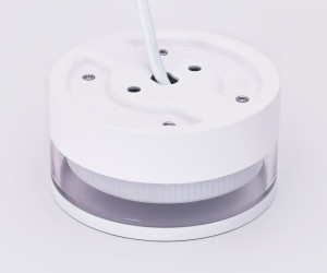 TN5505 SWH/CL белый песок/прозрачный GX53 D85*43