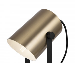 Настольный светильник Freya FR4004TL-01BBS