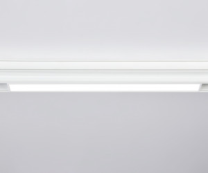 GL4001 WH белый IP20 12W 4200K 48V 300*22*45