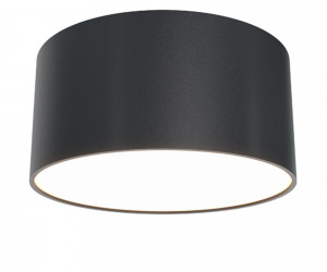 Потолочный светильник Technical C032CL-L12B3K