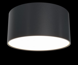 Потолочный светильник Technical C032CL-L12B3K