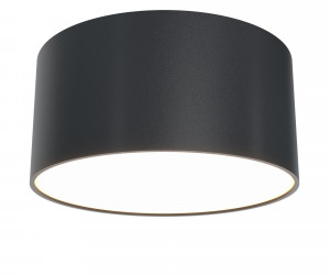 Потолочный светильник Technical C032CL-L12B3K