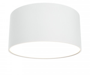 Потолочный светильник Technical C032CL-L12W3K