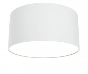 Потолочный светильник Technical C032CL-L12W3K