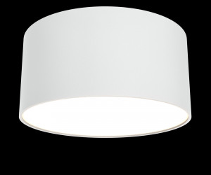 Потолочный светильник Technical C032CL-L12W3K