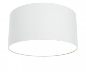 Потолочный светильник Technical C032CL-L12W3K