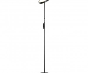 Торшер Lussole LSP-0901-SE