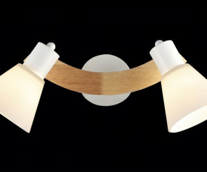 ВР-N4765/2 WT+WD (10) светильник потолочный [01100534]