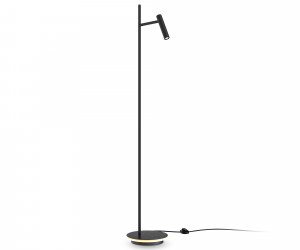Напольный светильник (торшер) Maytoni Z010FL-L8B3K