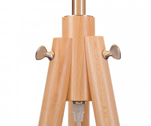 Напольный светильник (торшер) Maytoni Z177-FL-01-BR