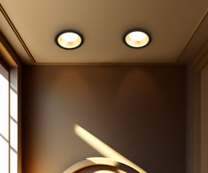 TN52334 SBK/SGD черный песок/золото песок GX53 max 12W D115*25