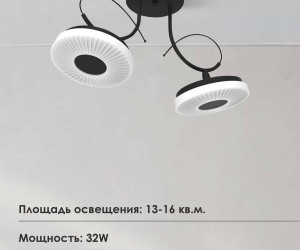 Потолочная люстра 060-L10 BK 000021569